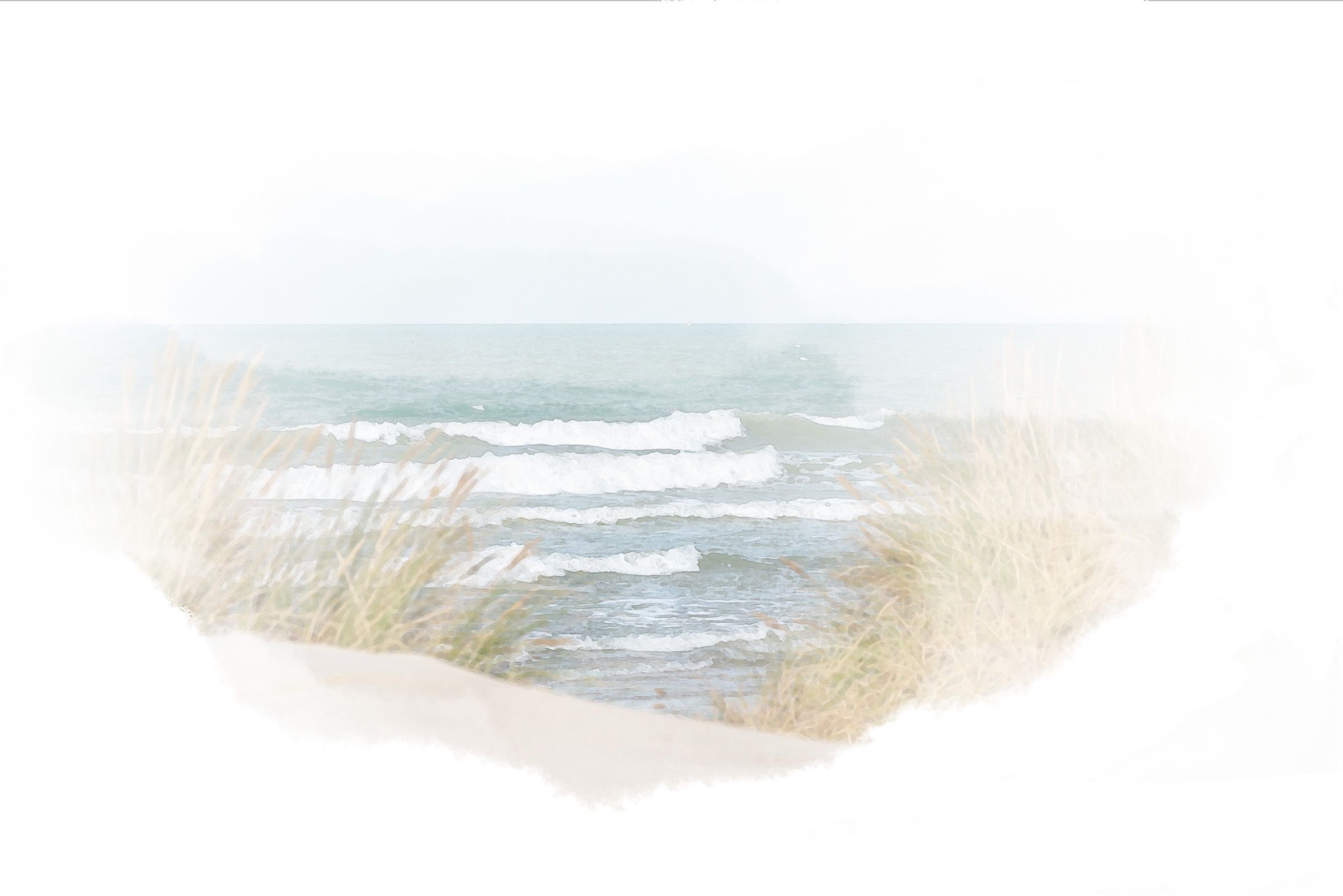 Galveston beach dunes with the Gulf behind